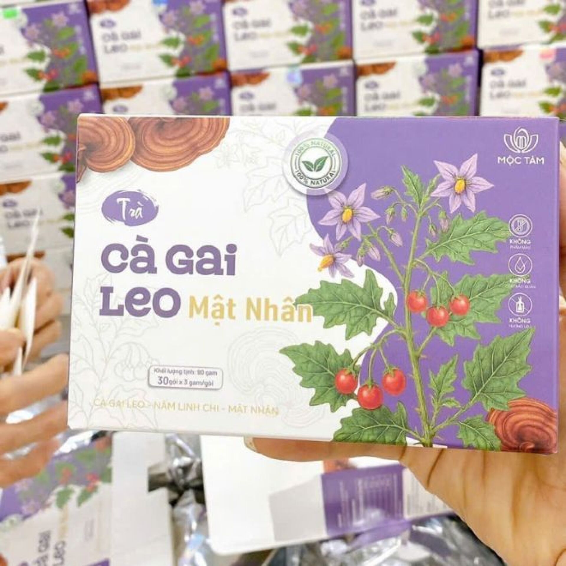 Trà cà gai leo mật nhân