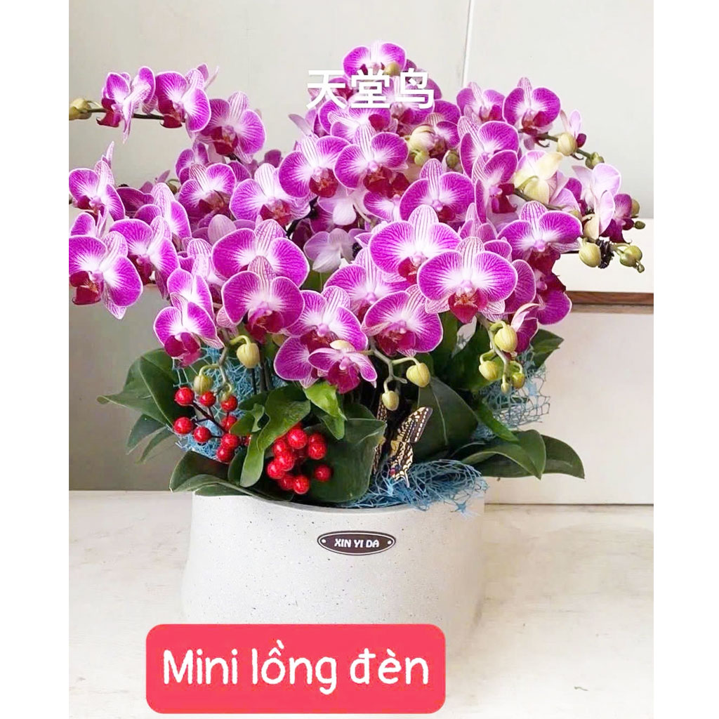 Mini lồng đèn
