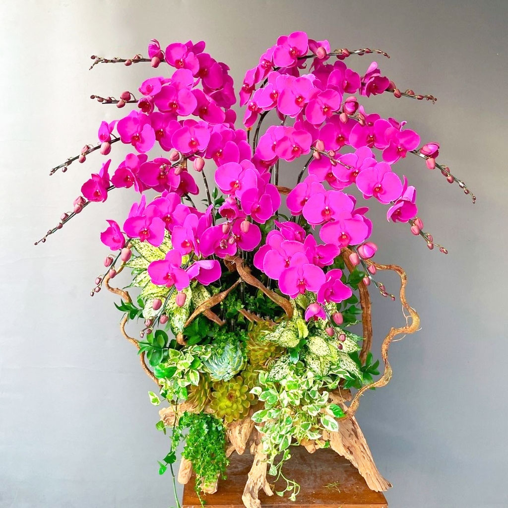 Lan hồ điệp tím đậm sen đá gỗ lũa